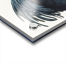 Goliath cockatoo  Acrylic print