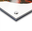 Brown-necked parrot  Acrylic print