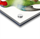 Red-cheeked parrot  Acrylic print