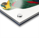 Turquoise-fronted parrot  Acrylic print