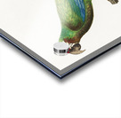 Buffons macaw  Acrylic print