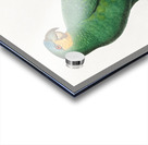 Loro guaro  Acrylic print