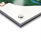 Rose-throated parrot  Acrylic print