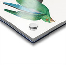 Marigold parakeet Acrylic print