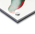 Jardines parrot  Acrylic print