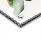 Sumba lorikeet  Acrylic print