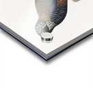 Bronze-winged parrot  Impression Acrylique