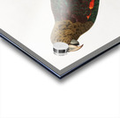 Uncape parrot  Acrylic print