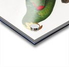 Yellow-crowned amazon  Acrylic print