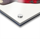 African grey parrot  Acrylic print