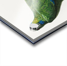 Festive parrot  Acrylic print