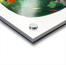 Orange-winged parrot  Acrylic print