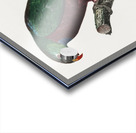 Red-billed pionus  Acrylic print