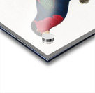 Western black-capped lory  Acrylic print