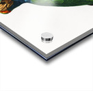 Dufresnes amazon  Acrylic print