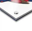 Red-and-blue lory  Acrylic print