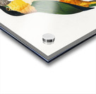 Black-Headed Parrot  Acrylic print