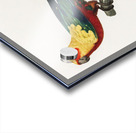 Sun parakeet  Acrylic print