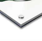 Rose-throated parrot  Acrylic print