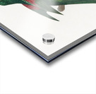 Red-throated conure  Acrylic print