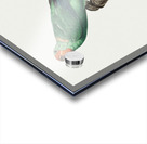 Red-faced parrot  Acrylic print