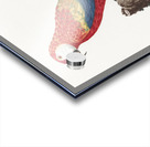 Ara macao  Acrylic print