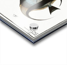 1. Chaetodon macrolepidotus 2. Chaetodon cornutus Acrylic print