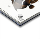 1. Chaetodon unimaculatus 2. Arc-Fish Chaetodon arcuatus Impression Acrylique