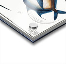 1.Chaetodon aureus 2. Silver Fish Zeus Vomer Acrylic print