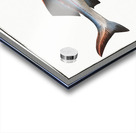 Great Sturgeon Acipenser Huso Acrylic print