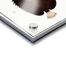 1. Collar Chaetodon Collare 2. Mulatto Chaetodon mesoleucus Acrylic print