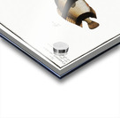 1. Chaetodon Pavo 2. Chaetodon aruanus Acrylic print