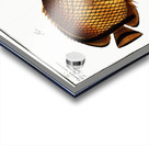 1. Chaetodon Argus 2. Chaetodon vagabundus Acrylic print