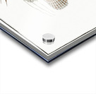 Scorpaena antennata Acrylic print