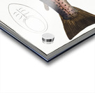 Trut Salmo Trutta Acrylic print