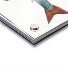 Grayling Salmo Thymallus Acrylic print