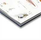 Fish hatching and growing Acrylic print