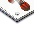 Toadfish Tetrodon Testudineus Acrylic print