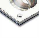 Sword-Fish Trichiurus Lepturus Acrylic print