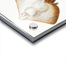 Skate Raja Batis Acrylic print