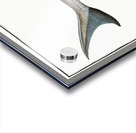 Rusfish-Sturgeon Acipenser Ruthenus Acrylic print