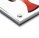 Apue Bodianus apua Acrylic print