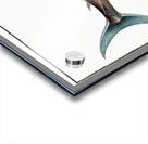 Sword Fish Xiphias Gladius Acrylic print