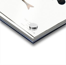 1. 2. Rough Perch Perca Asper 3. Blue Goby Gobius Jozo Acrylic print