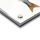 Umble Salmo Umbla Acrylic print