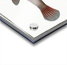 Knitted Trunk-Fish Ostracion Concatenatus Impression Acrylique