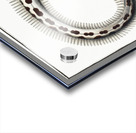 Muraena Ophis Acrylic print