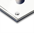 Boenack Bodianus Boenack Acrylic print