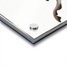 Tope or Pope Squalus Galeus Acrylic print