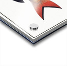 Annular Gilt-head Sparus annularis Acrylic print